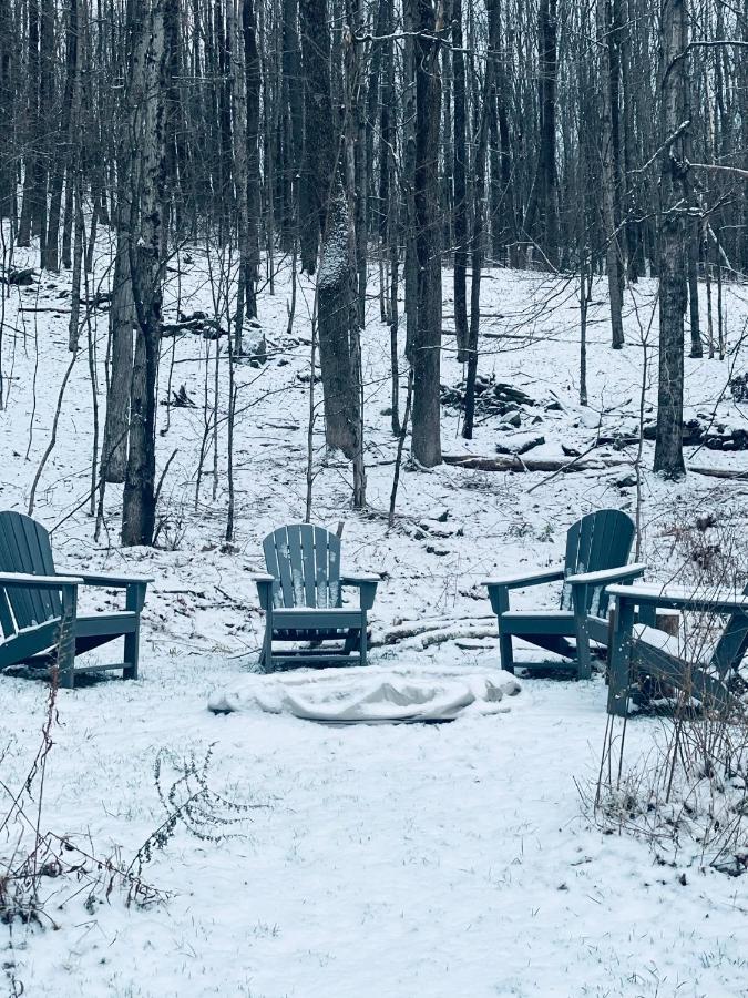 Cozy Cottage With Jacuzzi And Fire Pit And Reading Nook! Livingston Manor Exterior photo