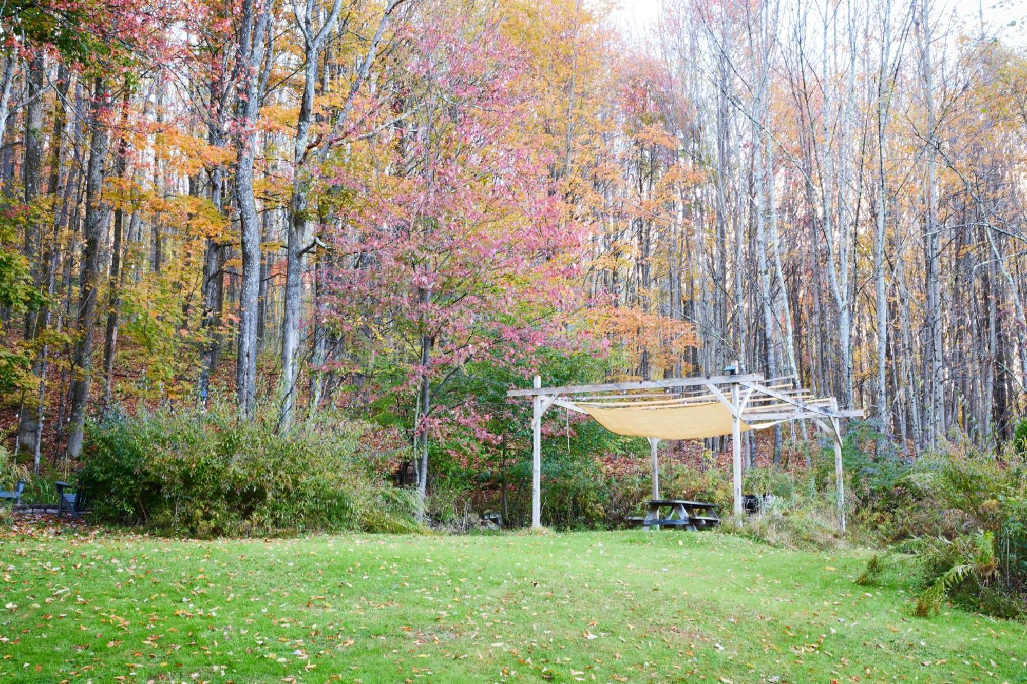 Cozy Cottage With Jacuzzi And Fire Pit And Reading Nook! Livingston Manor Exterior photo